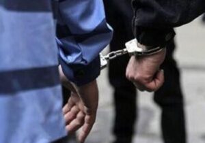 توکلی: ۴ سارق حرفه ای در اشنویه دستگیر شد