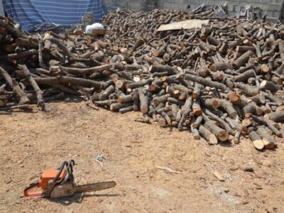 کشف ۶ تن چوب قاچاق در کنگاور به ارزش یک میلیارد ریال