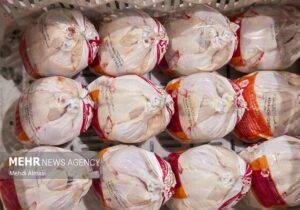 کشف یک تُن مرغ تنظیم بازار عرضه‌شده با قیمت آزاد در گنبدکاووس