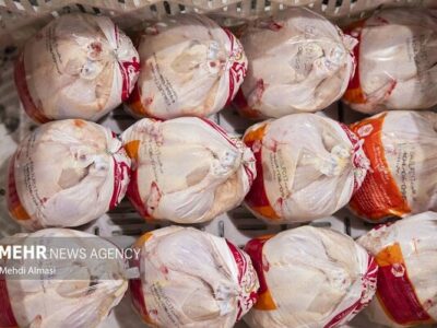 کشف یک تُن مرغ تنظیم بازار عرضه‌شده با قیمت آزاد در گنبدکاووس