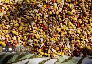 تعزیرات حکومتی طرح نظارتی ویژه شب یلدا را اجرا کرد