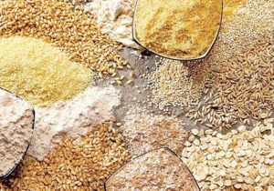 برخورد با متخلفان دریافت غیرقانونی نهادههای دامی در نیشابور