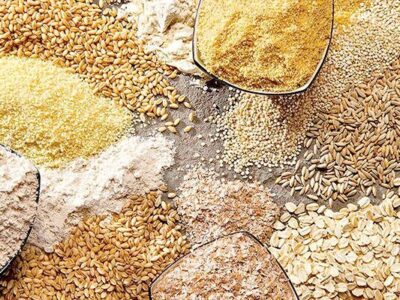 تهدید اثربخشی تمهیدات ارزی دولت برای آرامش بازار نهاده