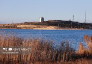 مهدی آقایی: ارتقای جایگاه محیط‌زیست در حقوق عامه ضروری است