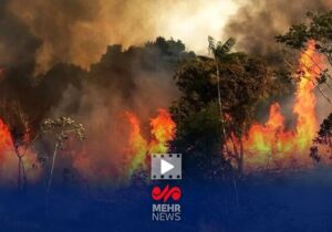 برگزاری دورههای تخصصی برای جلوگیری از آتش سوزی جنگلها