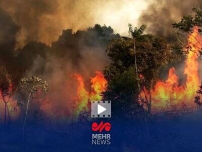 برگزاری دورههای تخصصی برای جلوگیری از آتش سوزی جنگلها