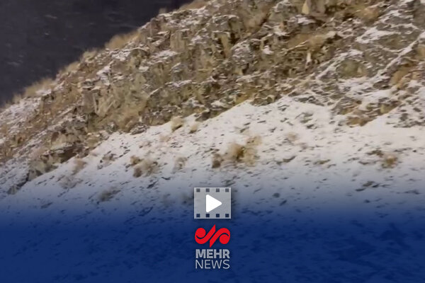 بارش برف در کوه مروارید آباده فارس