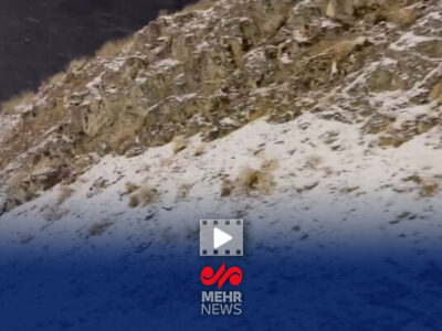 بارش برف در کوه مروارید آباده فارس