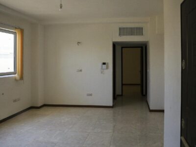 خواجه دلوئی: ۱۴ هزار خانواده دارای معلولیت صاحبخانه شدند