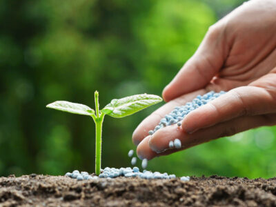 اوستان: تنها ۱۵ درصد خاک ایران قابل کشت است