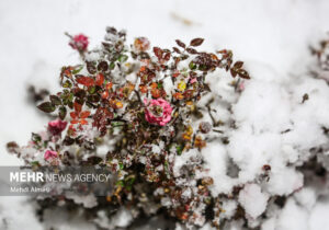صابری: بارش باران و برف در آذربایجان غربی؛ دما کاهش می یابد