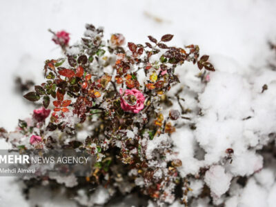 صابری: بارش باران و برف در آذربایجان غربی؛ دما کاهش می یابد