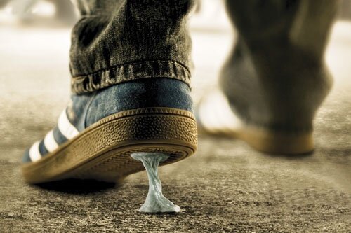 آدامسهایی که محیط زیست را مسموم میکنند؛ ضرورت فرهنگ سازی