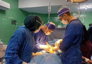 اکبرزاده: ۱۲۰ فقره اهدای عضو در بابل ثبت شده است