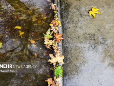 پیش‌بینی بارش‌های پراکنده و رگباری برای لرستان