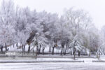 بارش اولین برف پاییزی در منطقه پول کجور