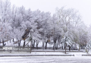 بارش اولین برف پاییزی در منطقه پول کجور