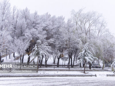 بارش اولین برف پاییزی در منطقه پول کجور