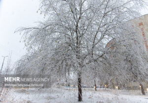 دیلمان سفیدپوش شد