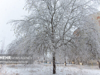 دیلمان سفیدپوش شد