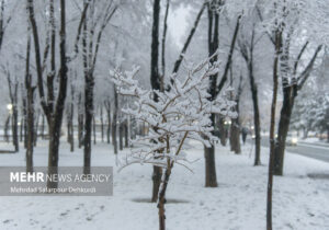پیشبینی بارشهای رگباری و برف نیمهسنگین در کهگیلویه و بویراحمد