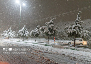 ارغوانی: برف و باران در راه کاشان است