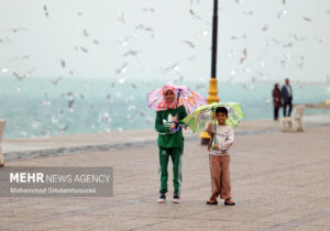 جزئیات فعالیت سامانه بارشی اخیر در استان بوشهر