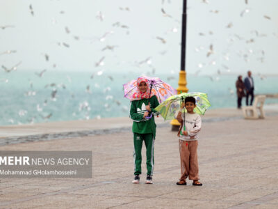 جزئیات فعالیت سامانه بارشی اخیر در استان بوشهر