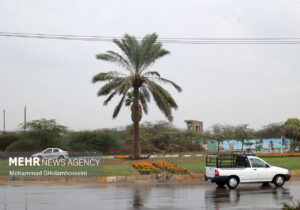 بارش اولین باران پاییزی در دلگان