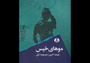 آسیب شعر امروز، از روی هم نویسی است/ نماینده زنان معمولی جامعهام