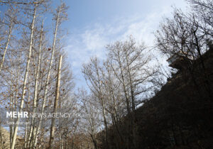 اثمری: دمای مشهد در سردترین ساعات به ۳ درجه خواهد رسید