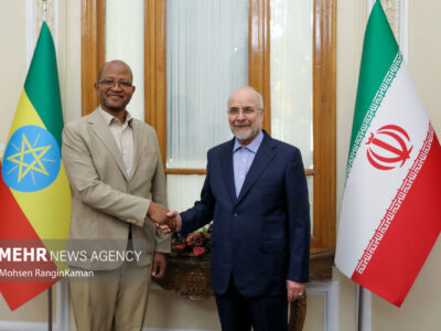 دیدار رئیس مجلس اتیوپی با رئیس مجلس شورای اسلامی
