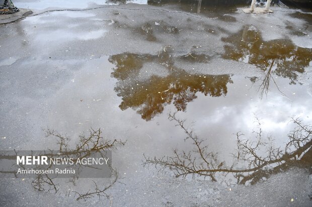 اولین بارش پاییزی باران در بیرجند