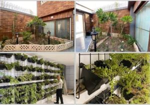 شهردار بوشهر: سرانه فضای سبز افزایش یافت