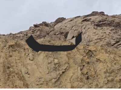 مشاهده یوزپلنگ نر «هیوا» در پارک ملی توران شاهرود