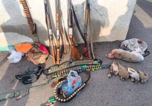 شیرپنجه: شکارچیان غیرمجاز در پارک ملی دریاچه ارومیه