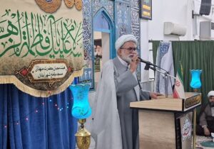 احمدی: هیچ تعرفهای برای گوجهفرنگی اعمال نخواهد شد