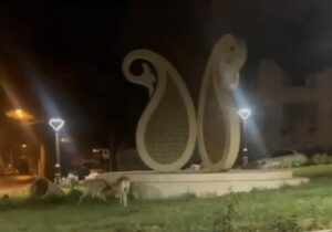 جلوهای از زیباییهای طبیعی و حیاتوحش در شهر شاهرود