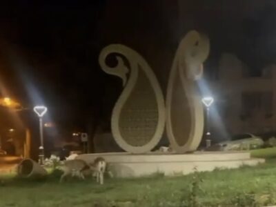 جلوه‌ای از زیبایی‌های طبیعی و حیات‌وحش در شهر شاهرود