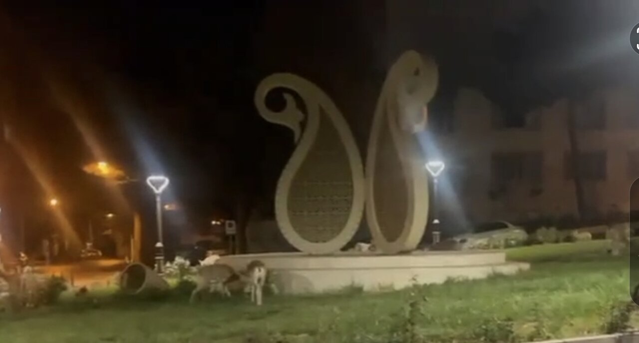 جلوهای از زیباییهای طبیعی و حیاتوحش در شهر شاهرود جلوهای از زیباییهای طبیعی و حیاتوحش در شهر شاهرود