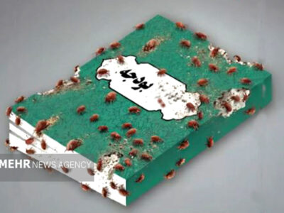 «انگل»های بودجه ورزش ایران کجاست/ پروژههایی که «باتلاق پولخور» شدند