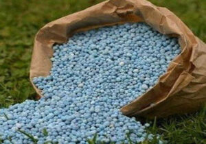 تامین ۸۶ درصد از سهمیه سالانه کود ازته در چهارمحال و بختیاری