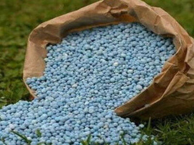 تامین ۸۶ درصد از سهمیه سالانه کود ازته در چهارمحال و بختیاری