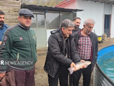 مرادی: تولید ماهیان سردابی و خاویاری رودسر ظرفیت صادراتی بالایی دارد