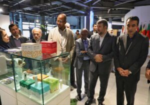 «آفریقا» شریک راهبردی ایران در زیستبوم فناوری و نوآوری