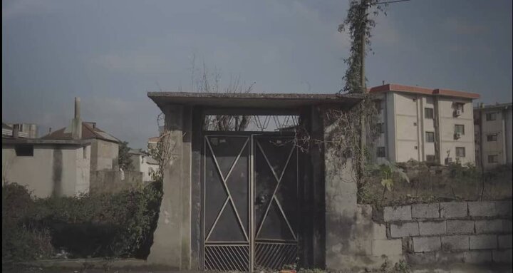 مستندی از «عکاسخانه» پدربزرگ؛ بدون حمایت فرصت تجربه‌گرایی ازدست می‌رود