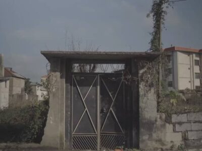 مستندی از «عکاسخانه» پدربزرگ؛ بدون حمایت فرصت تجربه‌گرایی ازدست می‌رود