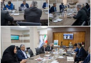 امینی: ظرفیتهای شیلات استان بوشهر در حالت آمادهباش قرار گیرند