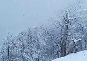 بارش برف جواهردشت چابکسر را سفیدپوش کرد