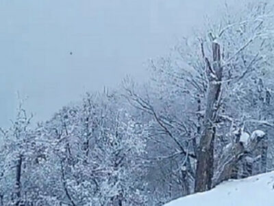 بارش سنگین برف در محور جواهرده رامسر